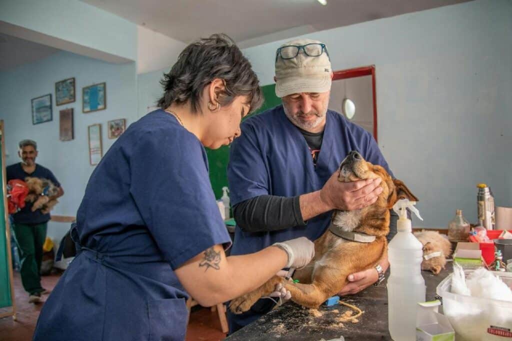 f76d52491f437 23 img 2